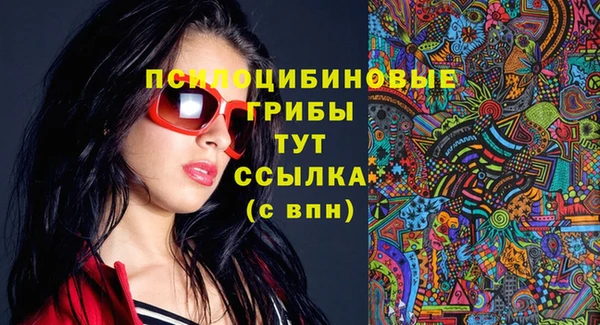 Альфа ПВП Пролетарск