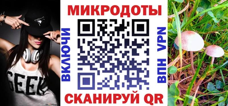 hydra вход  Лакинск  Псилоцибиновые грибы Psilocybe 